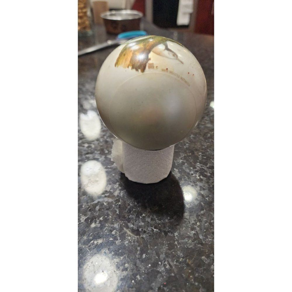 1975 Vintage Klipsainger White-Breasted Nuthatch Christmas Ball Ornament - Picture 8 of 8